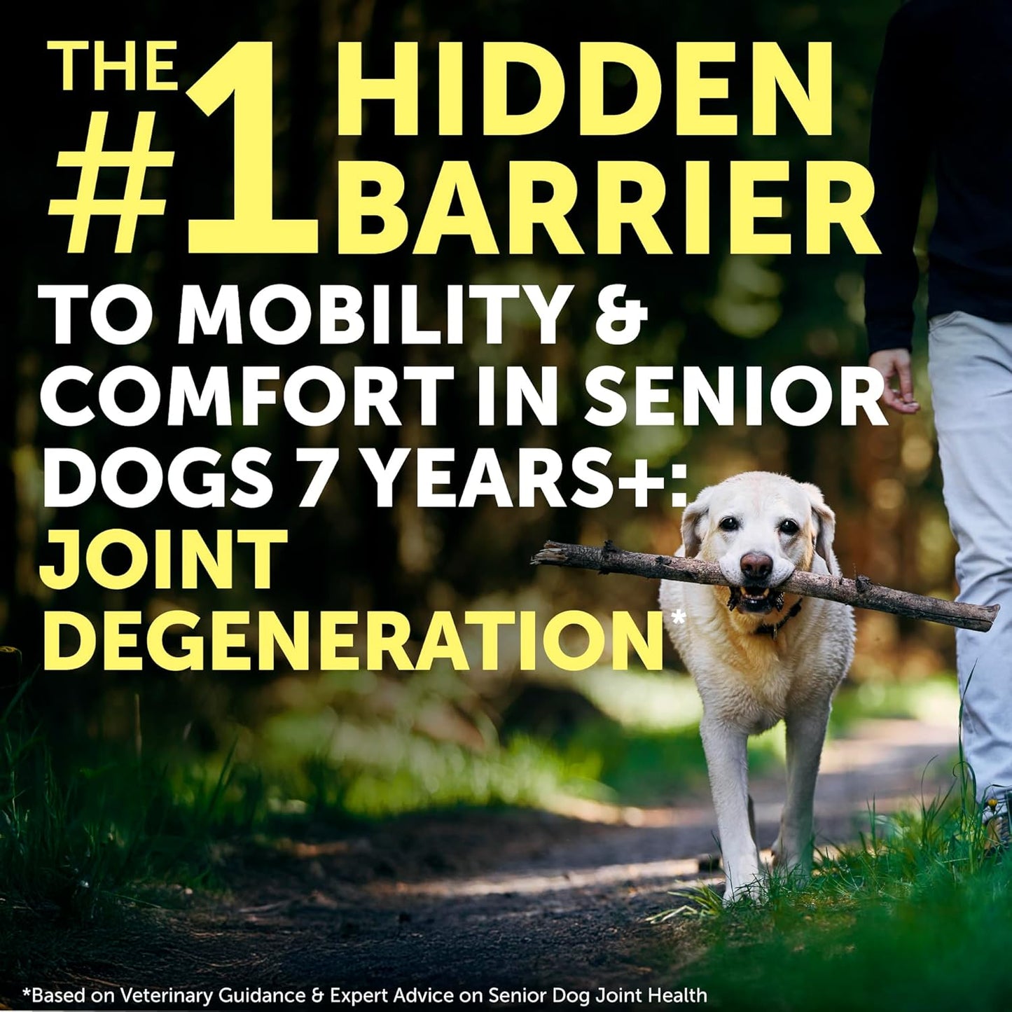 Nature's Protection Hip and Joint Supplement for Dogs - Senior Dog Mineral Supplement Powder for Bone Strength, Energy Boost, and Gut Health for Dogs & Cats of All Breeds, 9 Oz