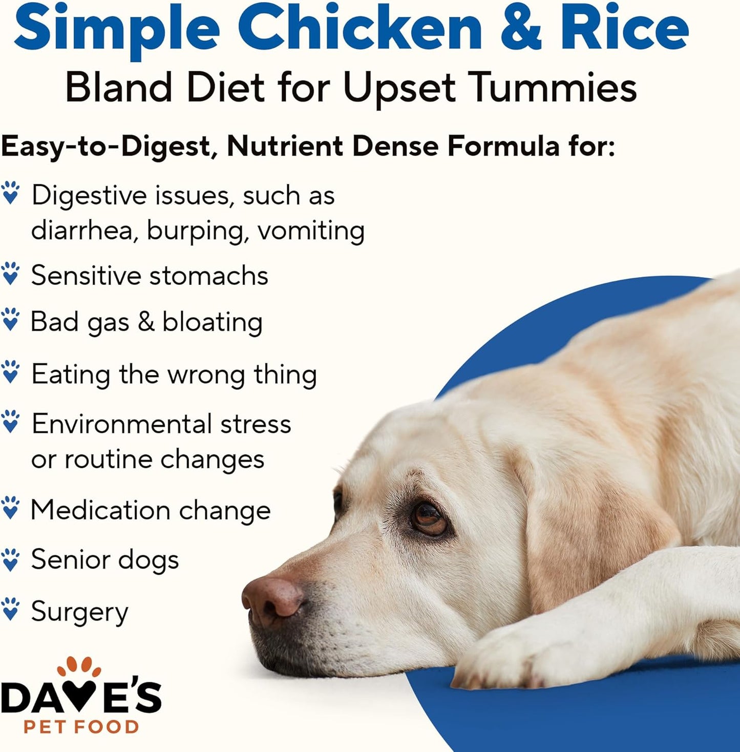 Dave's Dog Food Bland Diet Dog Food for Sick Dogs with Upset Stomach (Chicken & Rice), Economy Size for Large Pups or Big Eaters, Sensitive Stomach, 22 oz (Case of 12)