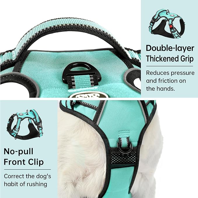 IVY&LANE No Pull Dog Harness with Leash Set, Reflective No Choke Pet Vest,Adjustable Oxford Dog Vest Harness with Easy Control Handle for Large Dogs (Turquoise,L)