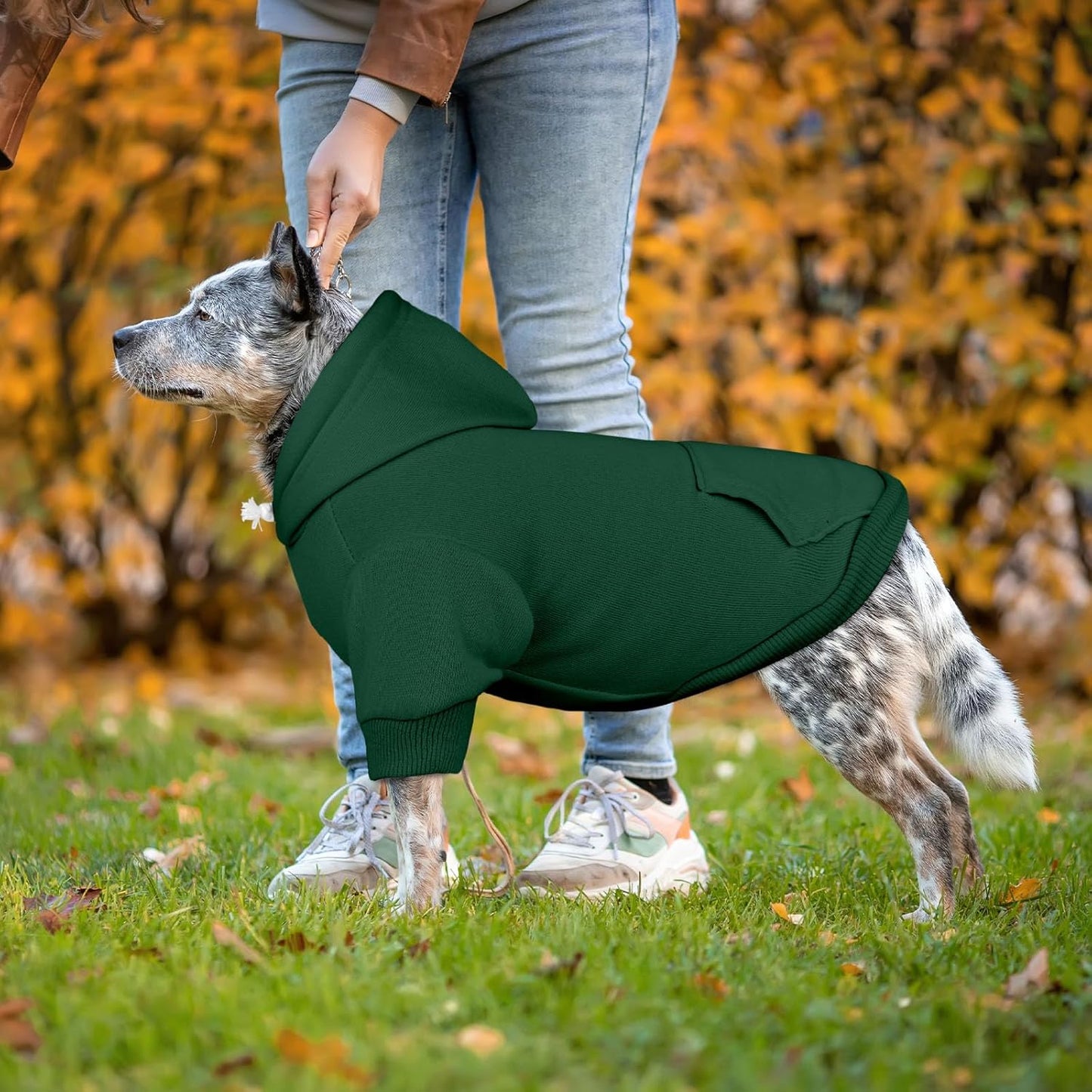 Dog Sweaters for Large Dogs Pet Sweater Solid Soft Brushed Fleece Dog Hoodie Clothes Pet Hoodie Sweatshirt with Pocket(Green-XXL)