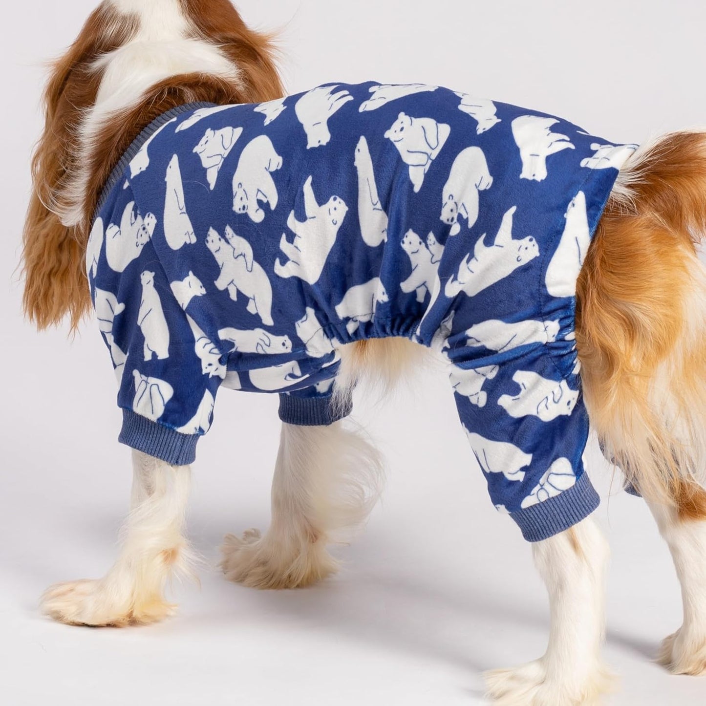 Fitwarm Polar Bear Dog Pajamas, Dog Clothes for Small Dogs Girl Boy, Pet Onesie with Feet, Cat Outfit, Lightweight Velvet, Royal Blue, White, XL