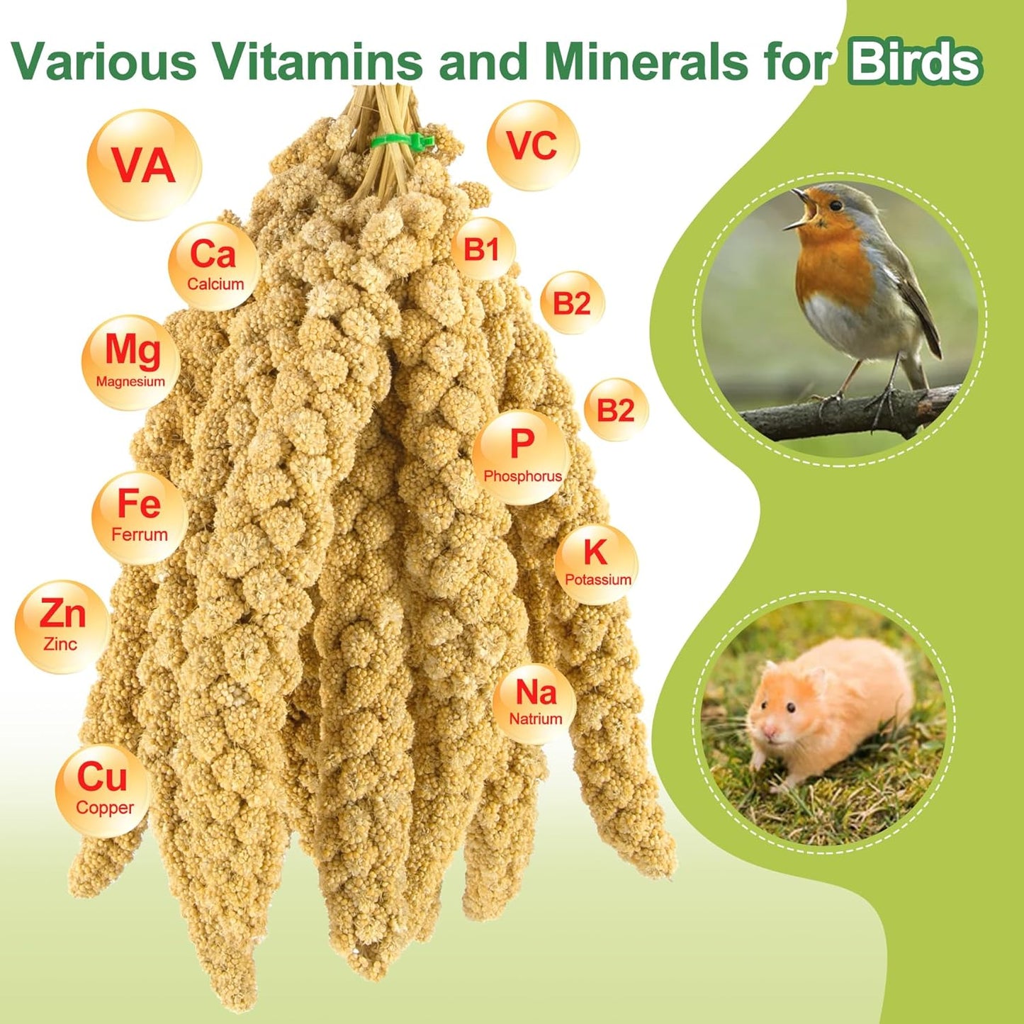 2LB Spray Millet Bird Treat for Parakeets, Natural Sun-Dried Birds Millet Spray for Parrots, Finches, Cockatiel, Budgie & Hamster, Bird Food Bulk