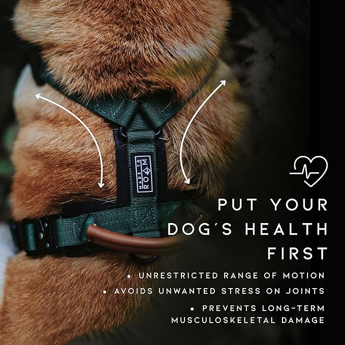 MADE TO ROAM Premium Explorer Harness - Y-Shaped Dog Harness with Adjustable Durable Nylon, Soft Padding, Metal Buckles and Leather Handle for Small, Medium, Large Dogs (Montana Moonrise, Size 2)
