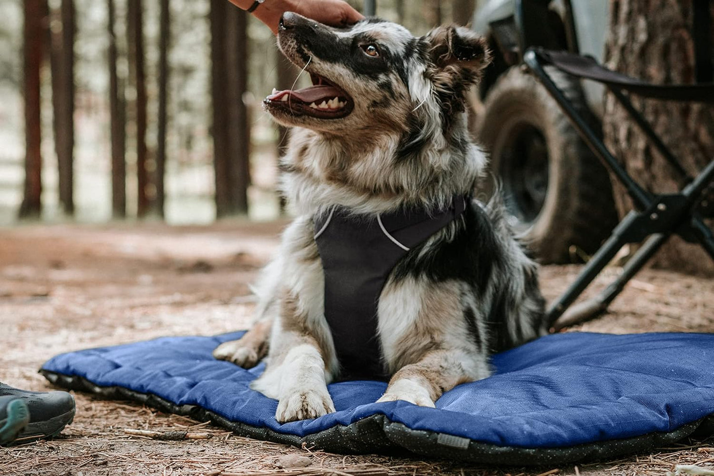 K9 Ballistics Tough Ripstop Dog Crate Pad - Durable & Machine Washable with Non-Skid Bottom and 120-Day Warranty, Fits 30" Wire Crates - Small, Sandstone