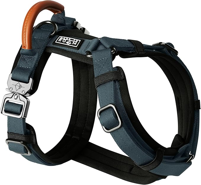 MADE TO ROAM Premium Explorer Harness - Y-Shaped Dog Harness with Adjustable Durable Nylon, Soft Padding, Metal Buckles and Leather Handle for Small, Medium, Large Dogs (Colorado Nightsky, Size 2)
