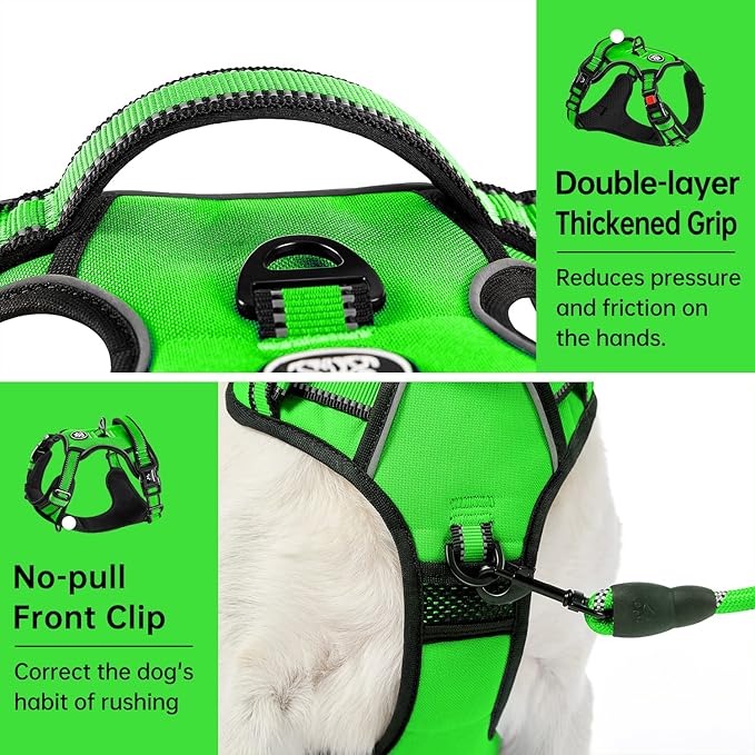 IVY&LANE No Pull Dog Harness for Medium Dogs, Dog Vest Harness with Leash, Safety Belt and Storage Strap, Fully Adjustable Harness, 360° Reflective Strip, Soft Handle (Green,M)
