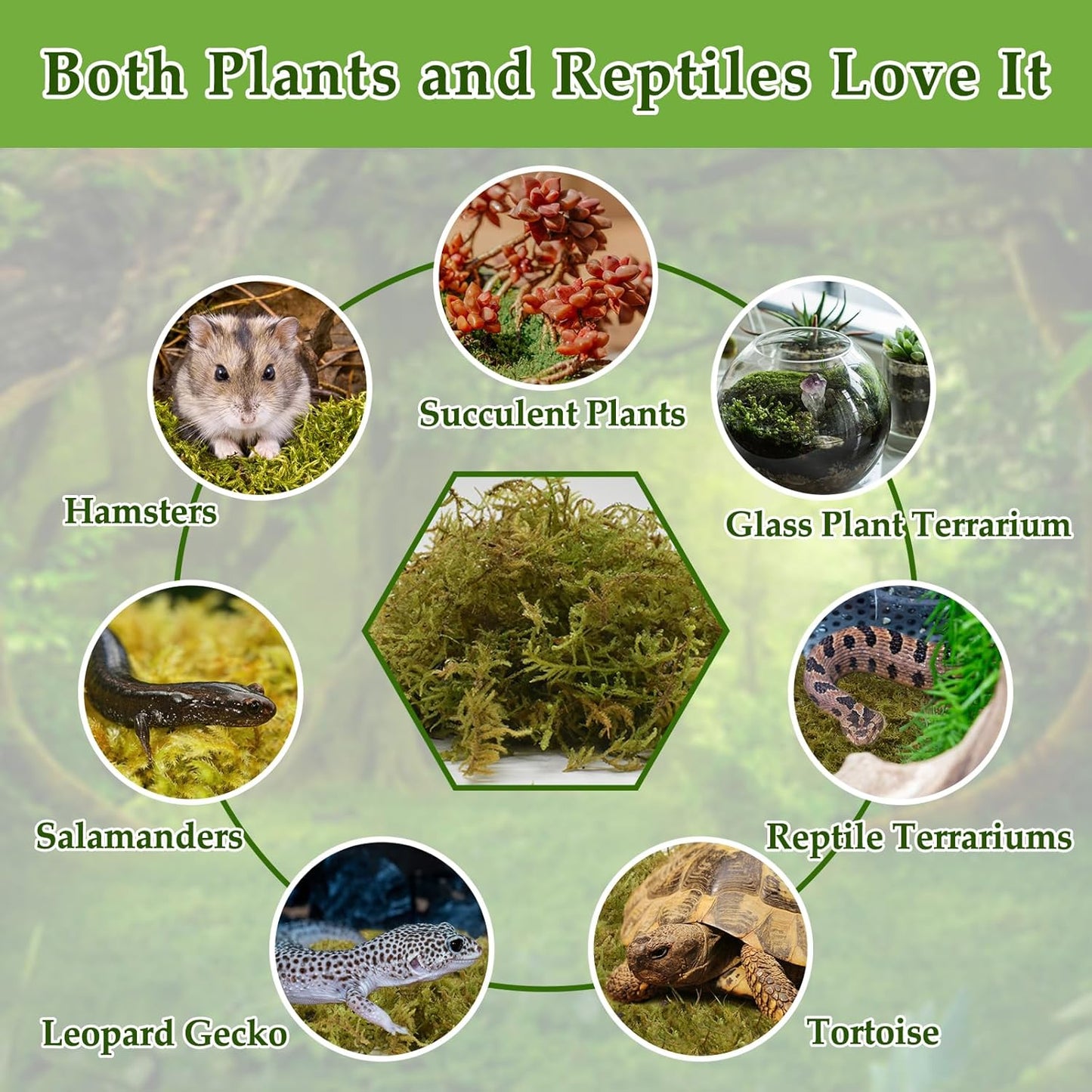 Halatool 2.5LB Natural Sphagnum Moss for Reptiles- 60QT Green Live Moss for Terrarium Plants Long Fiber Reptile Moss for Leopard Gecko Snake Hamsters Tortoises Frogs Lizards Salamanders