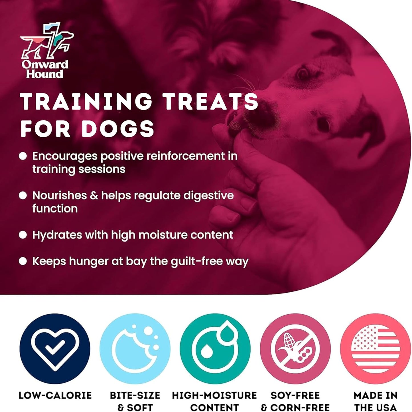 Onward Hound Training Treats for Dogs - Soft Bacon - Low Calorie Dog Training Treats for Sensitive Stomachs with Single Source Premium Protein, Corn Free, & Soy Free Formula - 4 oz