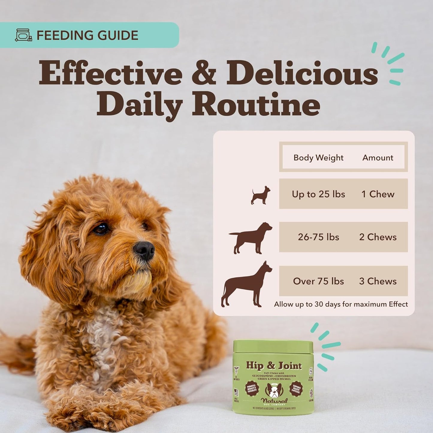 Natural Dog Company Hip & Joint Chews, Chicken Liver & Turmeric Flavor, with Glucosamine Chondroitin for Dogs, Maintains Bone and Joint Health, Supplements for Seniors and Puppies, 90 Count