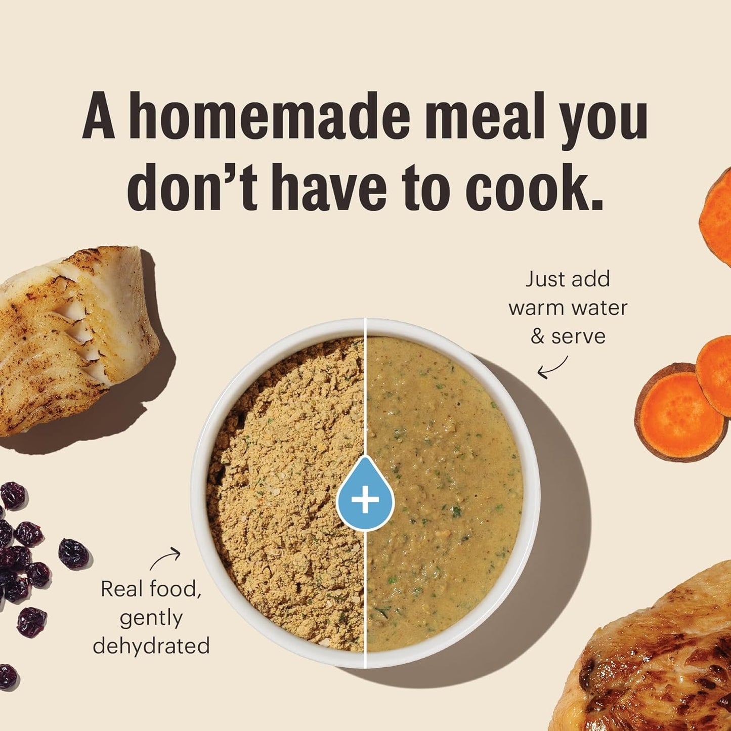 The Honest Kitchen Dehydrated Grain Free Chicken Cat Food 4 Pound (Pack of 1)