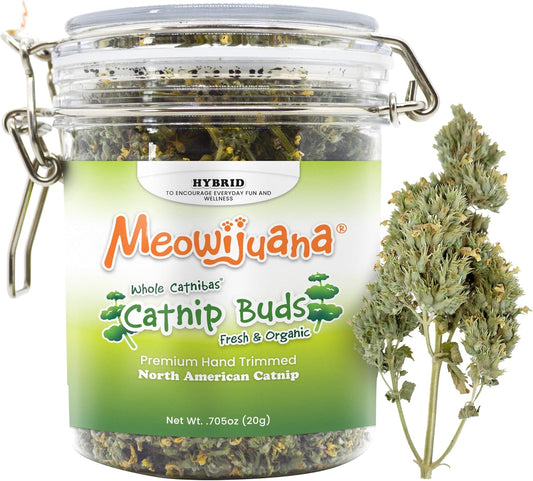 Meowijuana | Dried Catnip Buds Jar | Premium Organic Catnip | Grown in North America | Perfect for Cat Toys | Fresh Catnip for Extended Playtime | Elevate Your Cat's Enjoyment