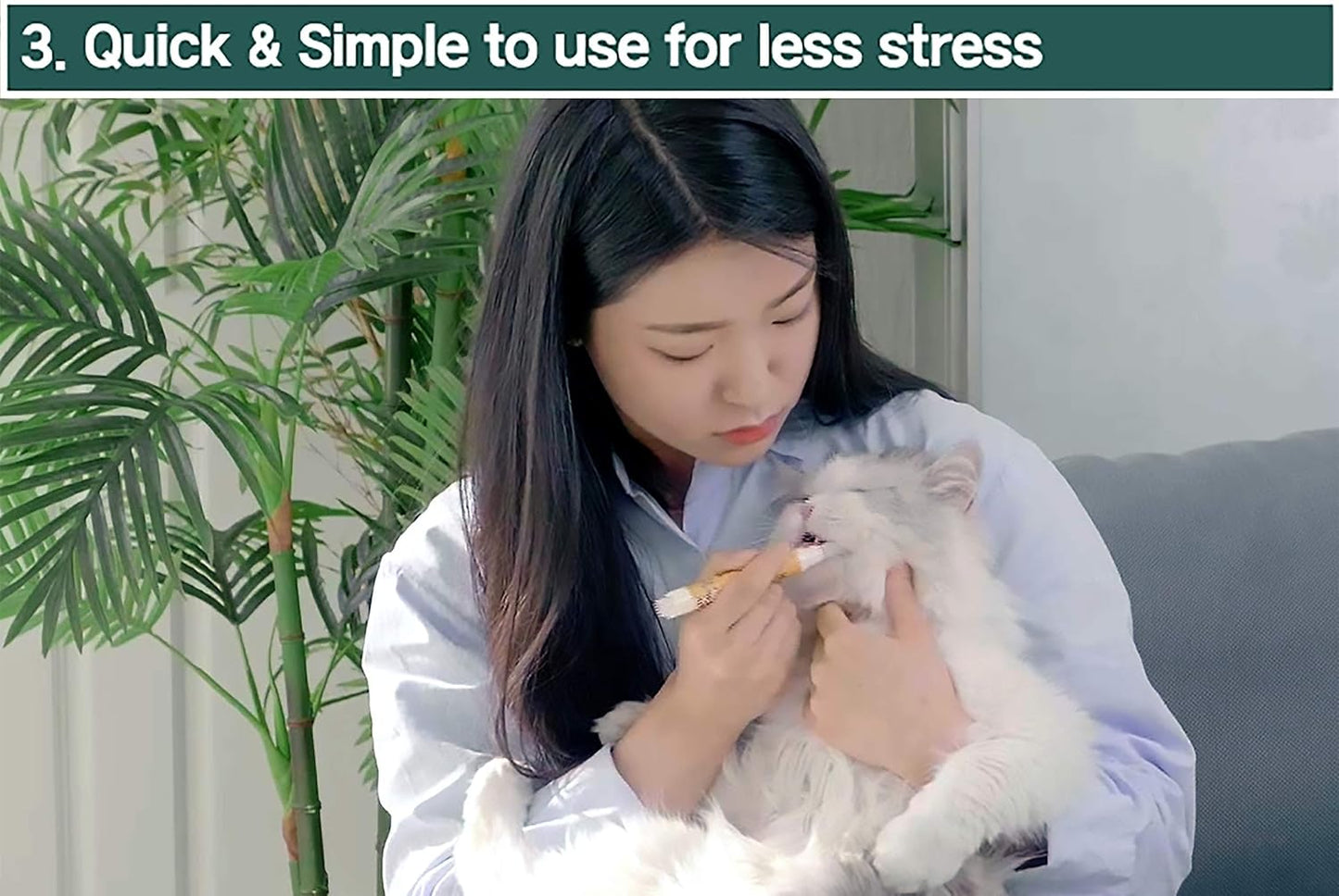 Cat Toothbrush & Toothpaste Kit – Flavor-Free Dental Gel for Cats – Finger Brush & Handle for Daily Oral Care – Plaque & Tartar Cleaning for Kittens and Adult Cats (1 Pack, 3 Count)