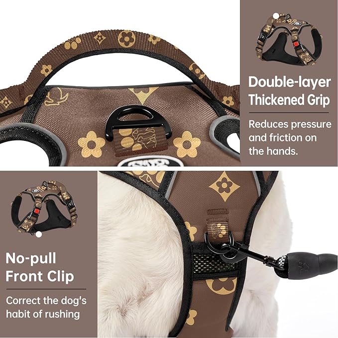 IVY&LANE No Pull Dog Harness with Leash Set, Reflective No Choke Pet Vest,Adjustable Oxford Dog Vest Harness with Easy Control Handle for Small Dogs (Dark Brown,S)