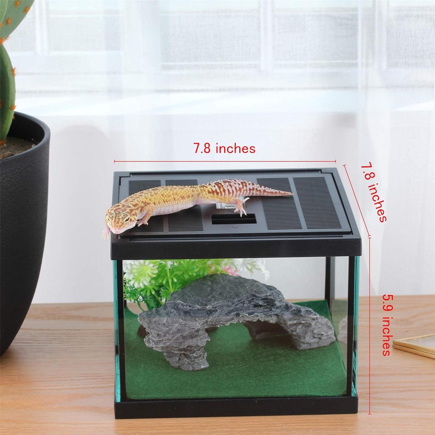 crapelles Glass Lizard Tank, Spider Box Kit, 7.8x7.8x5.9'' Tarantula Feeder Insects Beetle Habitat, Amphibians Terrarium for Small Pet, with Washable Mat, Resin Rock Shape Hideout, Artificial Flower