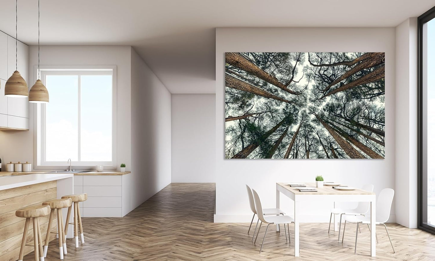 Nature Wall Art Prints - Ocean Forest Mountain Lake Canvas Landscapes - Small to Extra Large Living Room Bedroom Kitchen Bathroom Décor (Trees and Sky, 16L" x 24W")