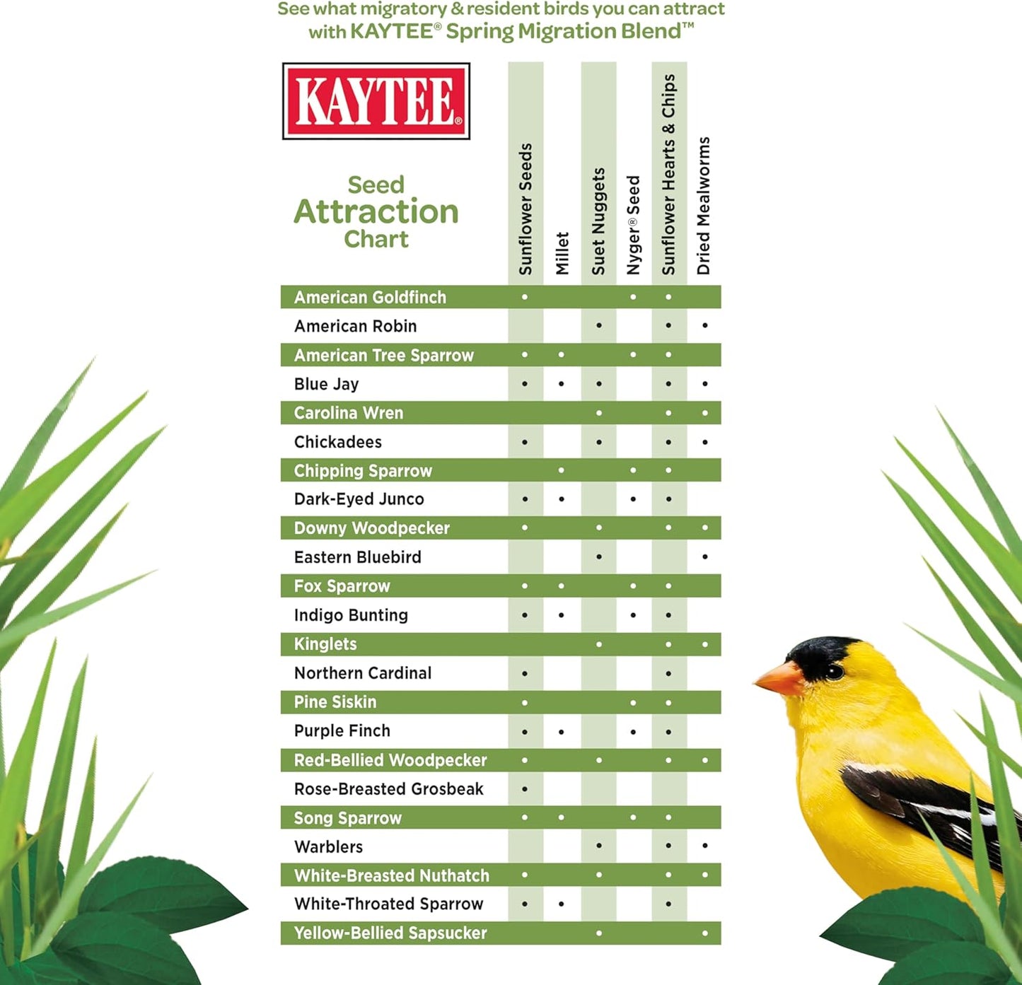 Kaytee Wild Bird Food, Spring Migration Seed Blend, 8 lb