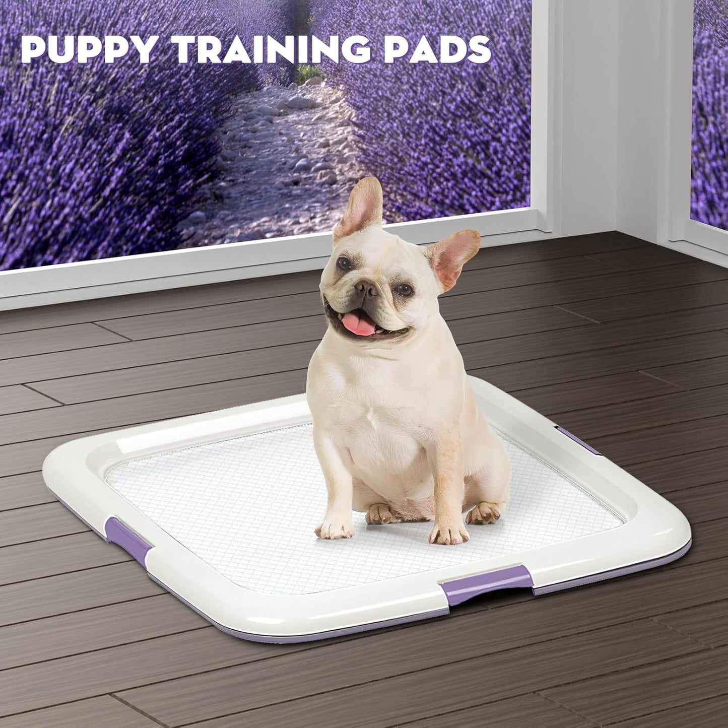 CROCI Puppy Pads 22x22in Small with Adhesive Tabs, Dog Pee Pads Absorbs Up to 3 Cups Potty Training, Disposable (100 Counts)