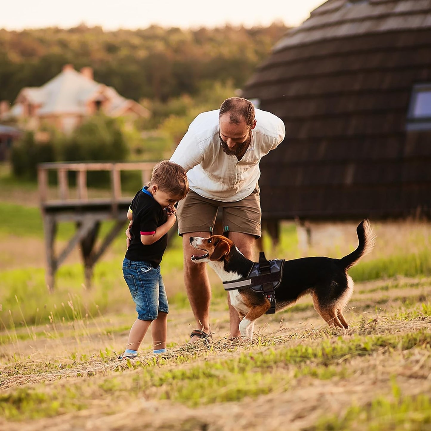 Dogline Dog Harness, Reflective No-Pull Adjustable Vest with Handle for Walking, Training, Breathable, No - Choke Harness for Small, Medium or Large Dogs Room for Patches Girraffe Grey XL 33"-46"