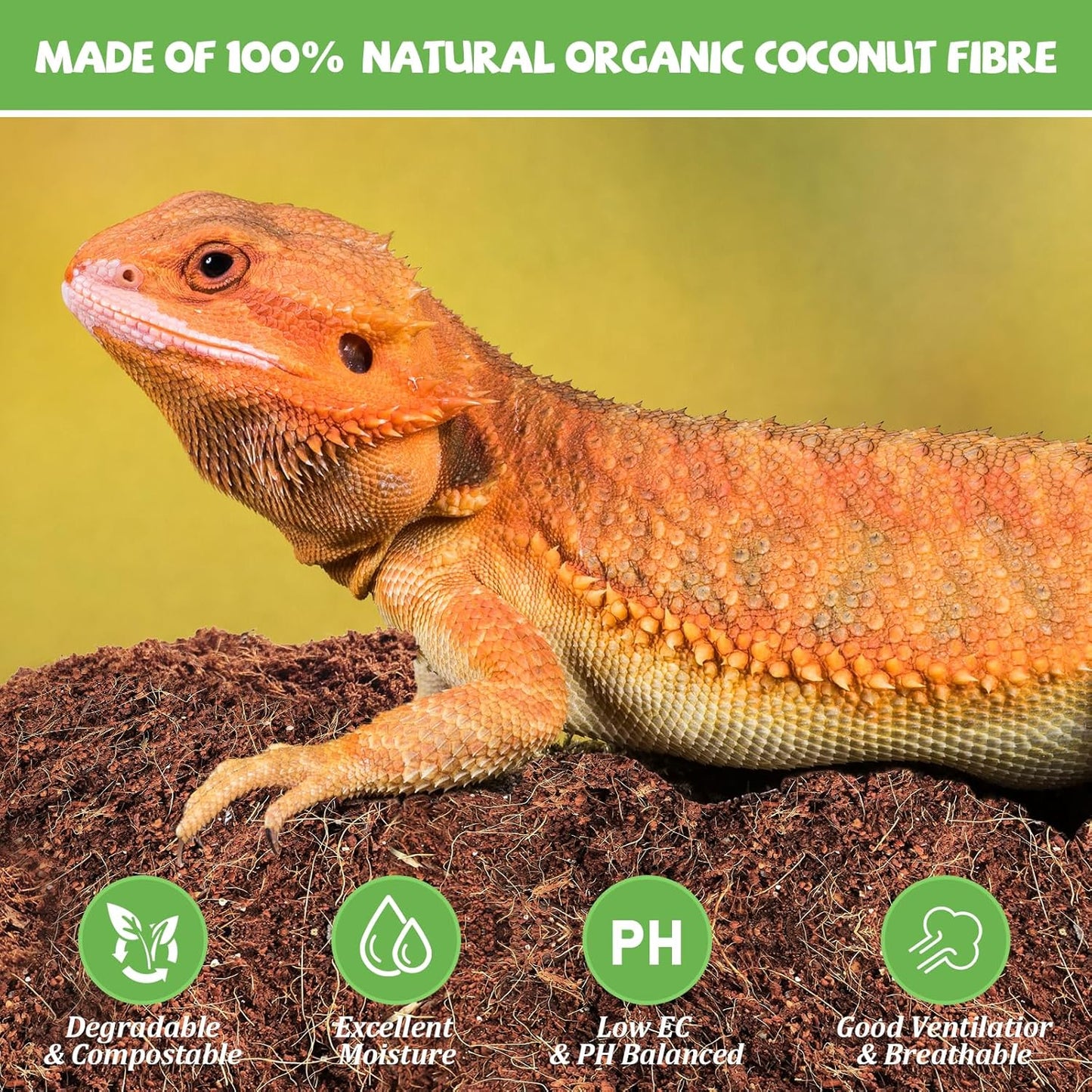 Riare 10LBS Natural Coconut Fiber Substrate for Reptile- Premium Compressed Coconut Husk Terrarium Bedding for Reptile, Tortoise, Frogs, Snakes, Hermit Crabs, Burrowing Animals