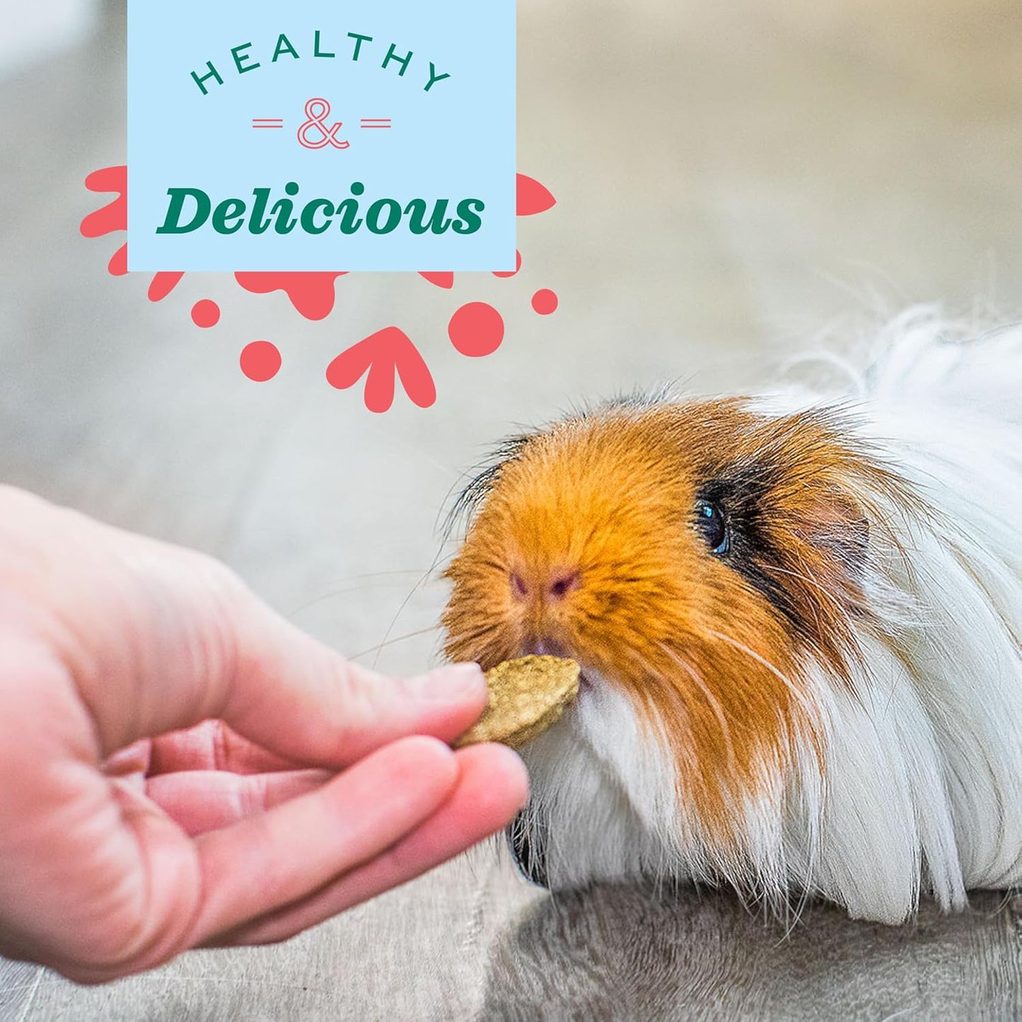 Oxbow Animal Health Natural Science Digestive Support, High Fiber Supplement for Rabbit & Guinea Pig, Made with Timothy Hay, Includes Chicory Root, Ginger Root, Chamomile, Made in USA, 4.2 oz Bag