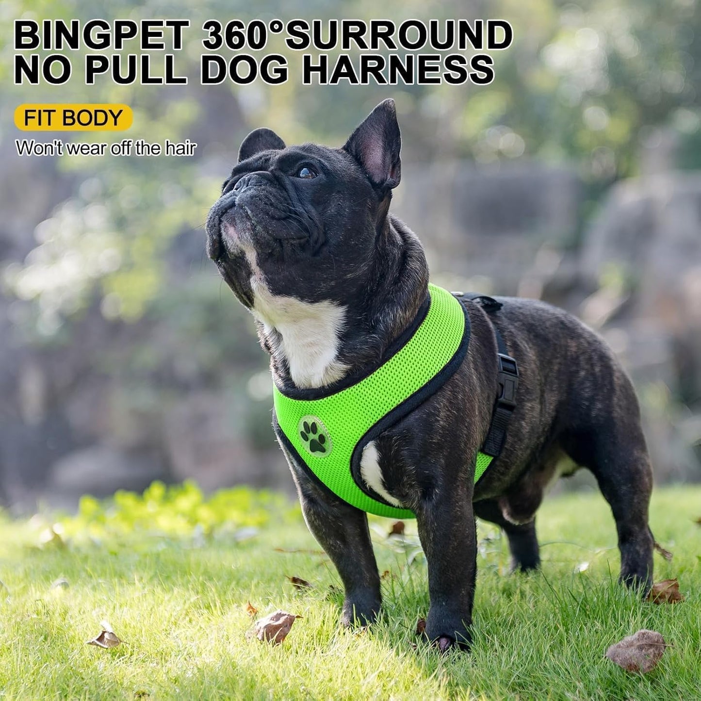 BINGPET No Pull Dog Harness, Soft Mesh Breathable All Weather Vest, Safety Protection Design, Durable Adjustable Step-in Easy Walk Dog Harness for Extra Large Dogs (Green, XL)