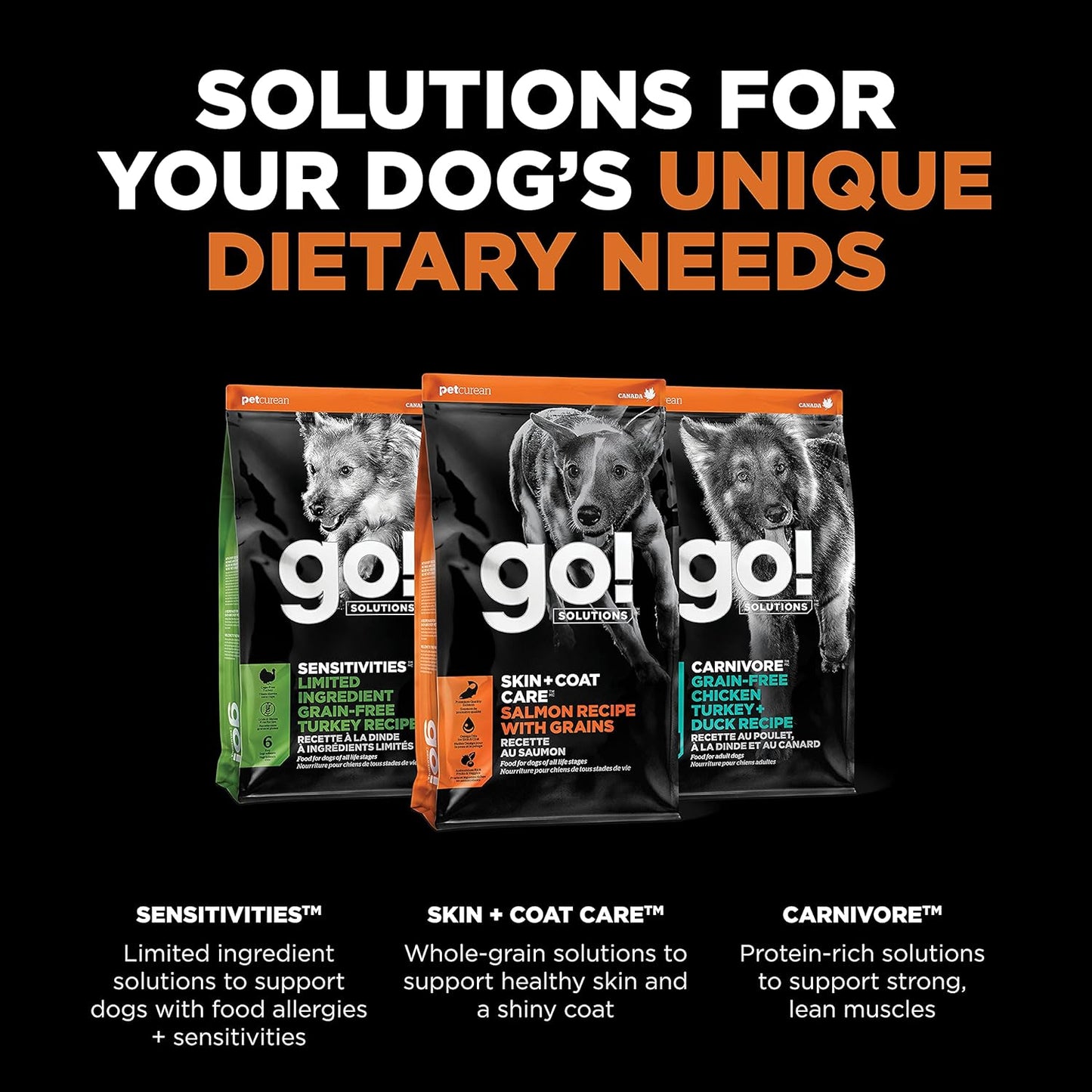 Go! Solutions Skin + Coat Care, Dry Dog Food, Salmon Recipe with Grains, 22 lb Bag