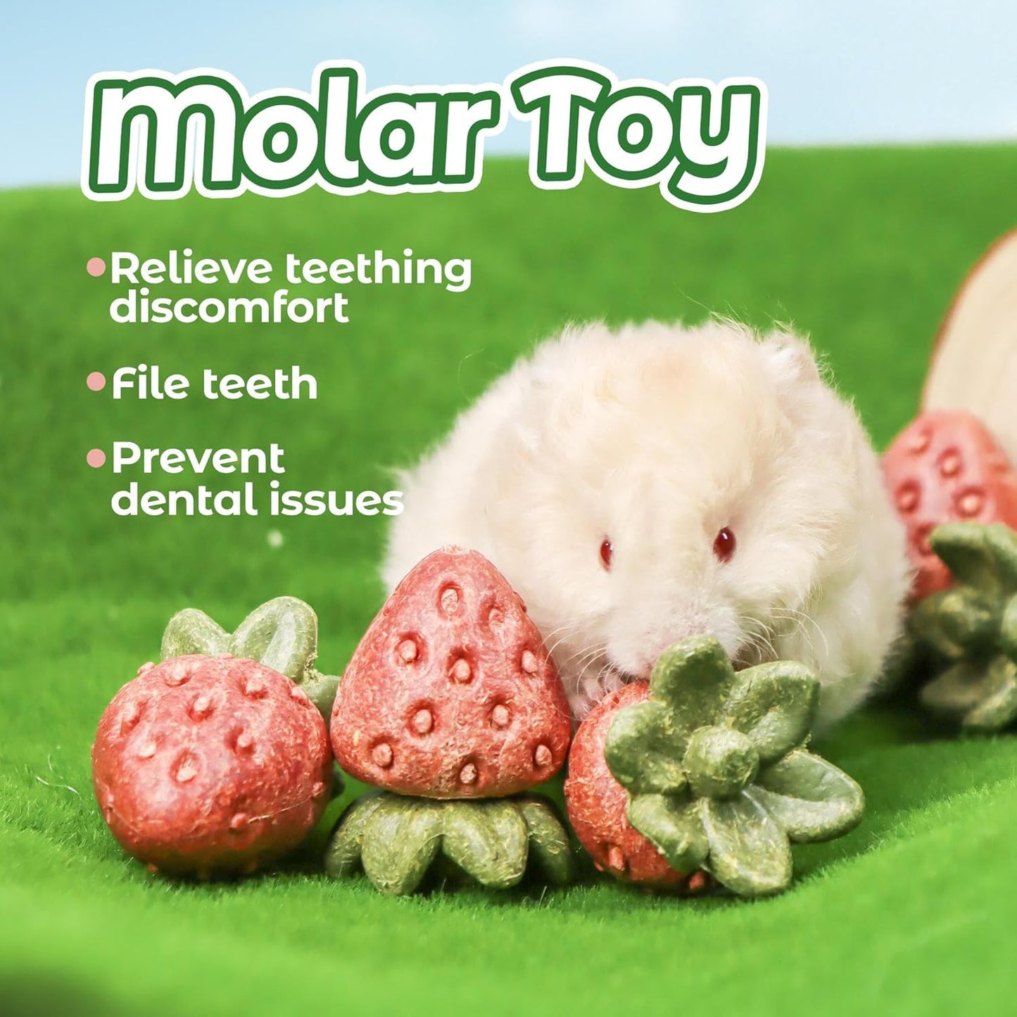 TEEWY 4PCS Hamster Chew Toys, Guinea Pig Chew Toys for Teeth with Natural Vegetables and Timothy Grass, Chinchilla Toys,Dental Care for Rats/Guinea Pigs/Hamsters and Gerbil, Strawberry-Shape