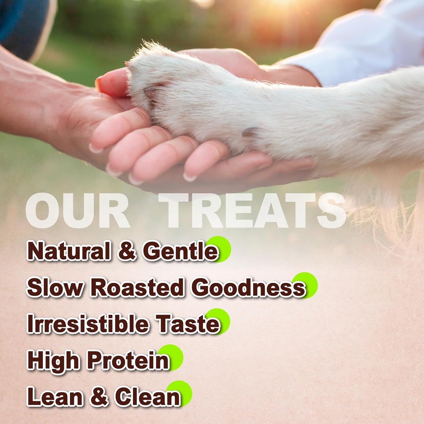 AFreschi Natural Chicken Breast Jerky 16 oz, Dog Treats, All Natural, Grain-Free, High-Protein, Low Fat, Healthy & Easily Digestible