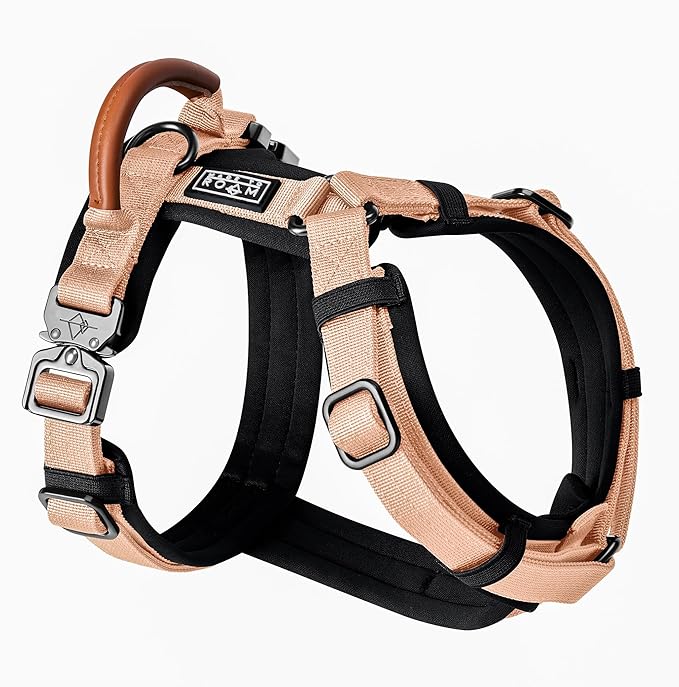 MADE TO ROAM Premium Explorer Harness - Y-Shaped Dog Harness with Adjustable Durable Nylon, Soft Padding, Metal Buckles and Leather Handle for Small, Medium, Large Dogs (Carolina Blooms, Size 4)