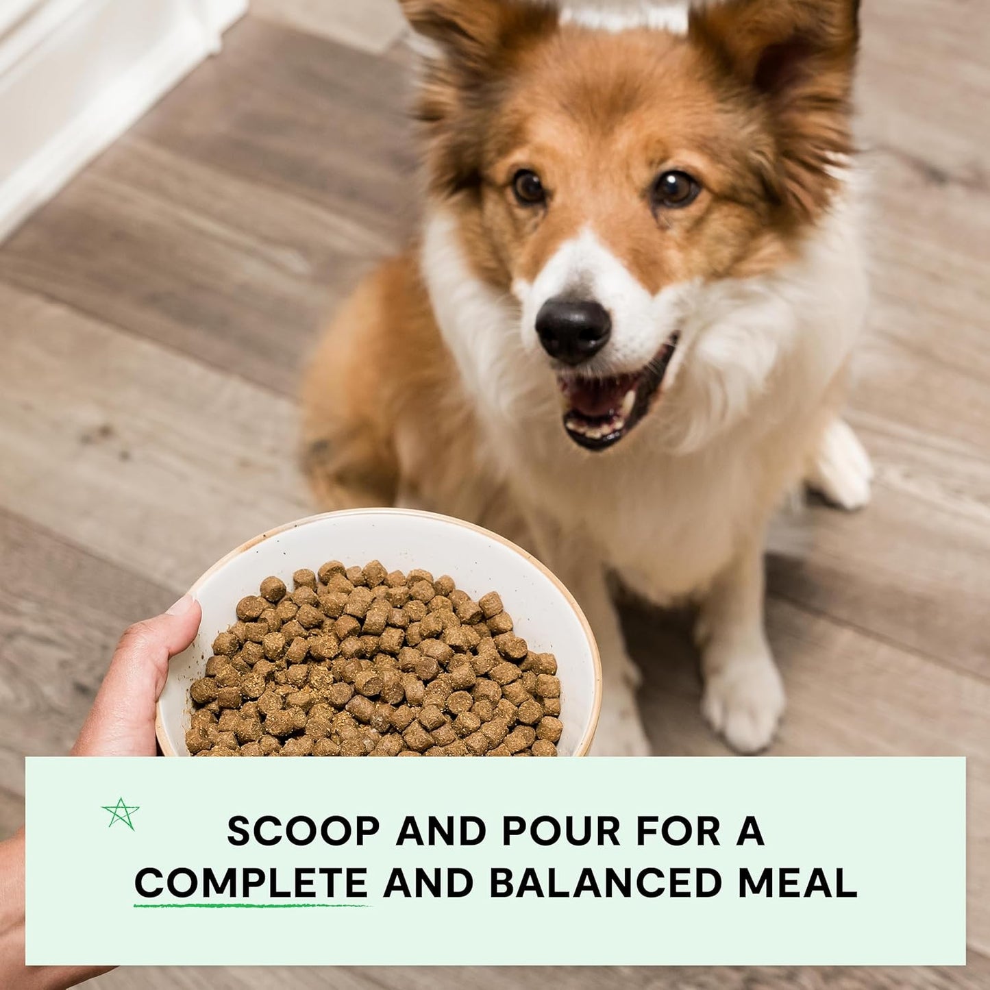 Open Farm, Grain-Free Dry Dog Food, Complete & Balanced Kibble, Sustainably & Ethically Sourced Ingredients, Non-GMO Veggies & Superfoods to Support Overall Health, Pork Recipe, 22lb Bag