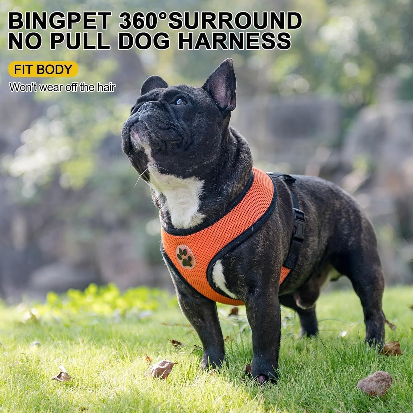 BINGPET No Pull Dog Harness,Soft Mesh Breathable All Weather Vest Harness,Safety Protection Design Durable Adjustable Step-in Easy Walk Dog Harness for Small Medium Large Dogs(Orange,XL)