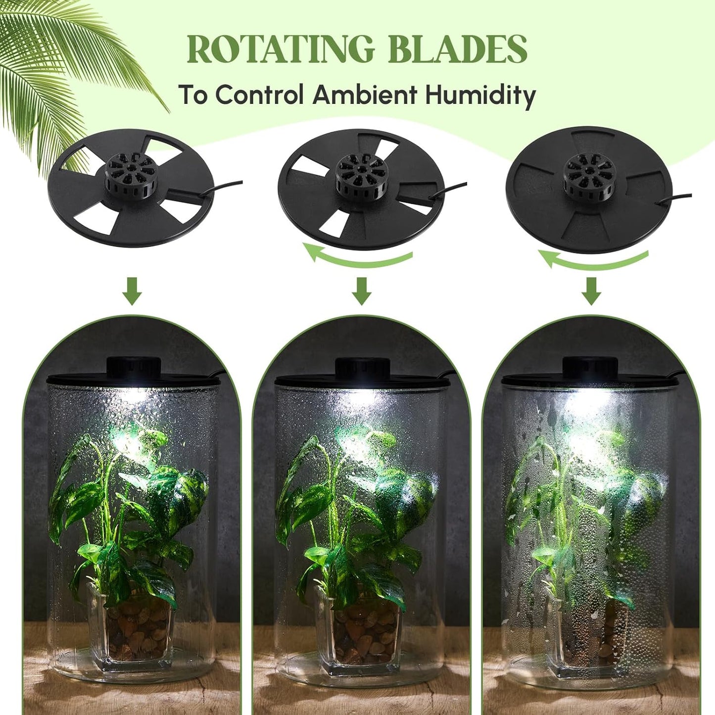 Maxdot Glass Plant Terrarium Kit with Light for Succulent, Moss, Miniature Gardening Landscape, Betta Fish Tank, Office Home Decoration, Plant Lovers Gifts(9.8 x 5.9 Inch)