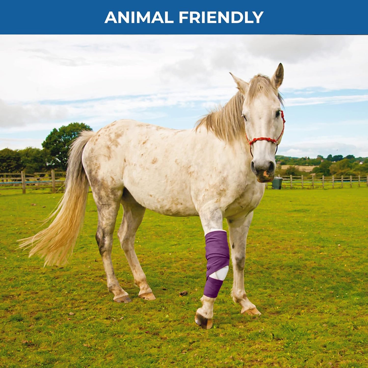 Self Adhesive Bandage Wrap - Pack of 12 Assorted Colors, Non-Woven, Breathable & Water-Resistant Vet Wrap for First Aid, Sports Injury, Body Sprains, & Pets - 4 Inch x 5 Yards