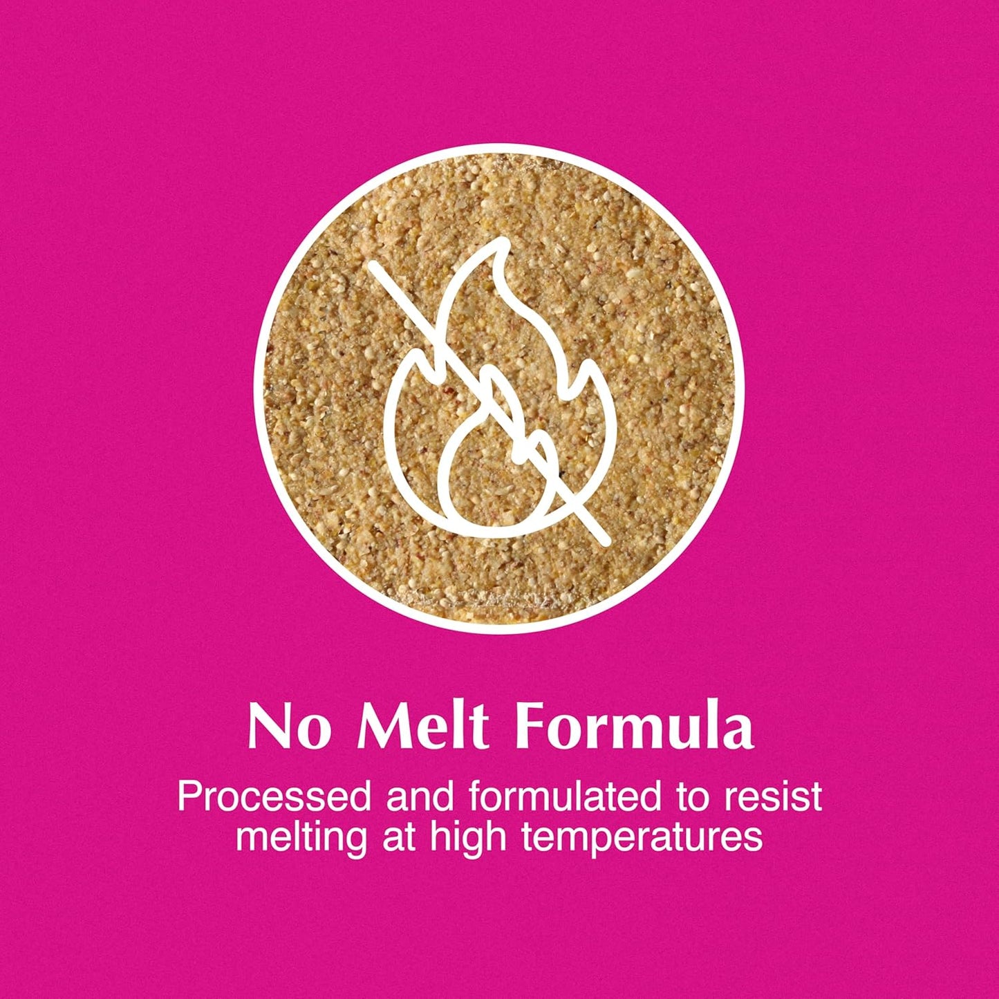 C&S High Energy Delight No Melt Suet Dough, Suet Cakes for Wild Birds, 11 Ounces, Pack of 8