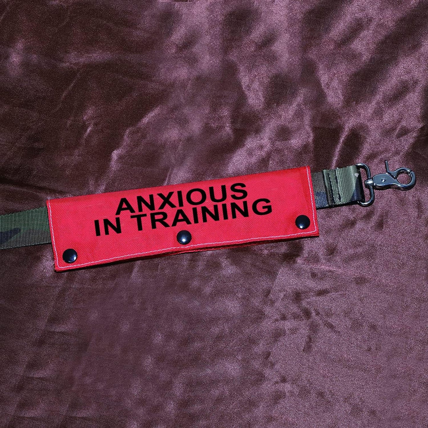 Funny Dog Leash Sleeve Have Anxious in Training Dog Leash Wrap Sleeve Pet Birthday Gift (Anxious in Training-Sleeve)