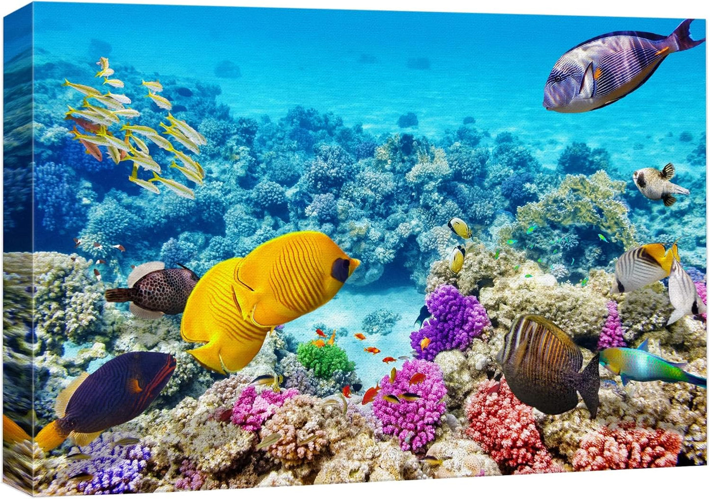 wall26 Canvas Print Wall Art Vibrant Teal Underwater Fish Coral Reef Nature Animals Photography Realism Scenic Landscape Wilderness Earth Colorful for Living Room, Bedroom, Office - 32"x48"