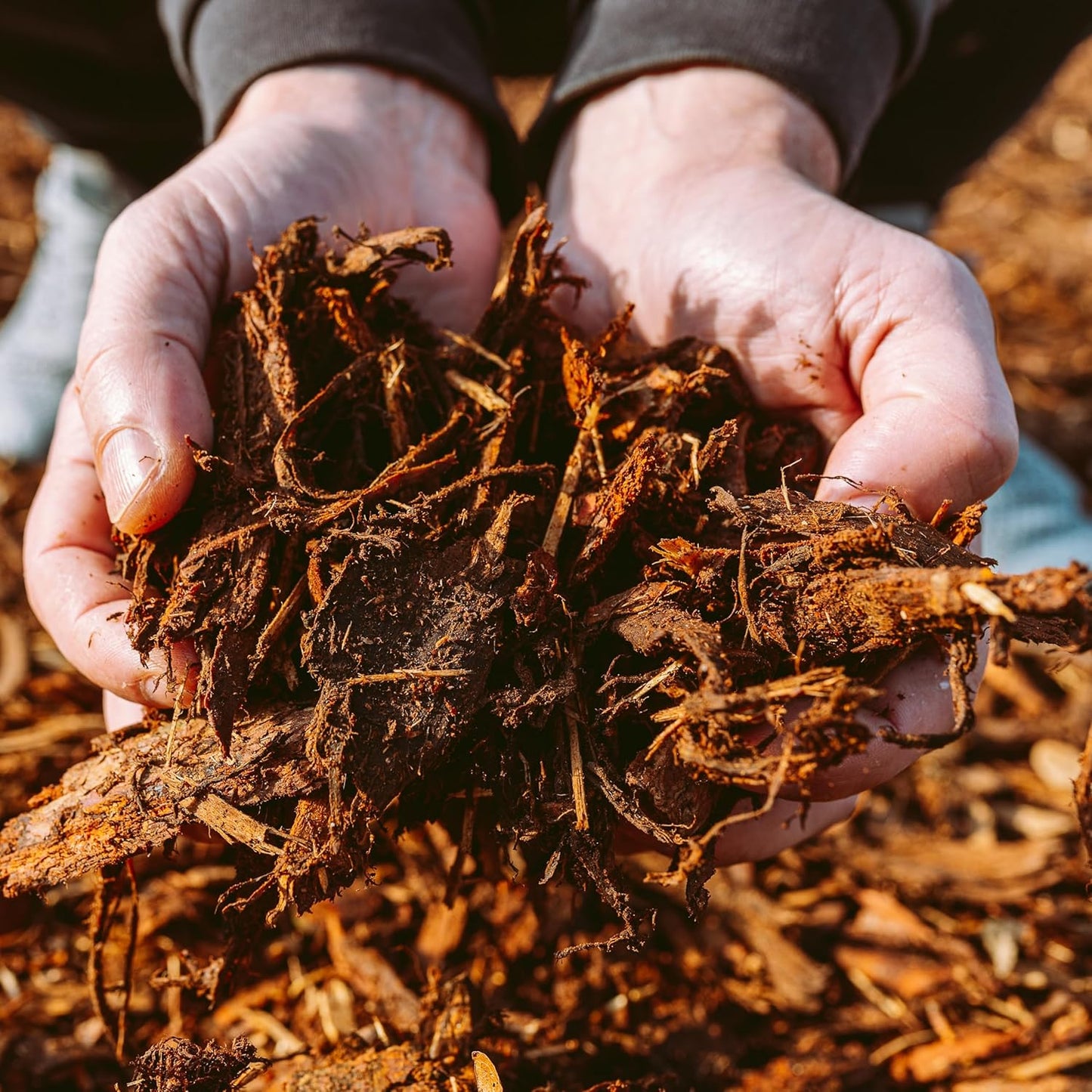 Premium Gold Wood Mulch for Landscaping, Gardens, Lawns, Potting Media, and Potted Plants (0.5 CF - 14 L - 15 QTS)