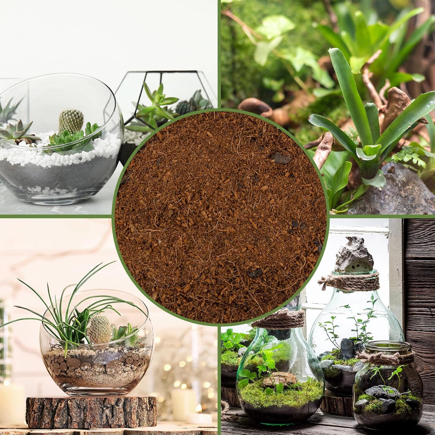 Terrarium Potting Soil Mix (8 Quarts), w/Blended Filtering Charcoal Custom Made for Terrariums