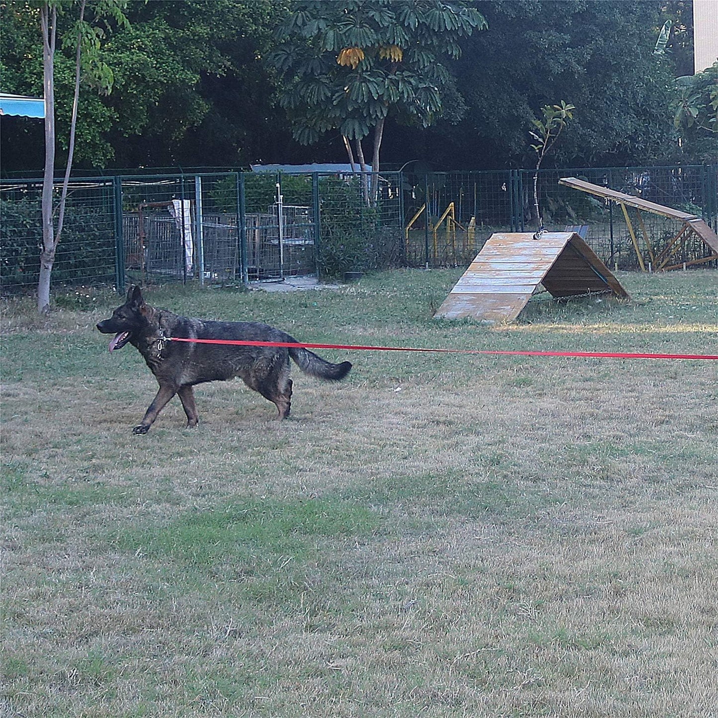 Dog/Puppy Obedience Recall Training Agility Lead - 15ft 20ft 30ft 40ft 50ft Training Leash - Great for Play, Camping, or Backyard (Military Green, 40 Feet)