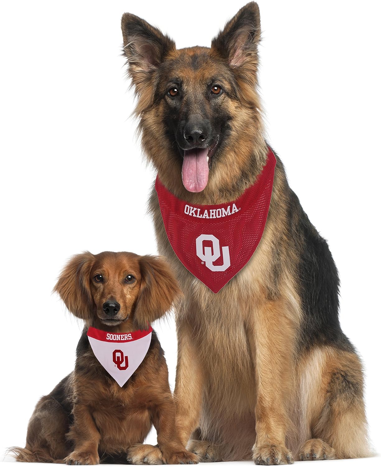 Pets First Collegiate Pet Accessories, Reversible Bandana, Indiana Hoosiers, Small/Medium