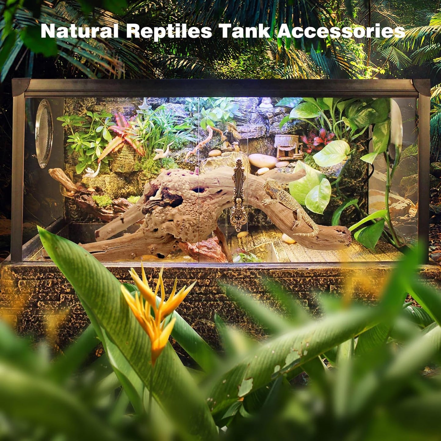 WDEFUN Natural Spiderwood for Aquarium Decor 3-Piece 7''-11'' Long Natural Driftwood Branches for Fish Tank Decorations