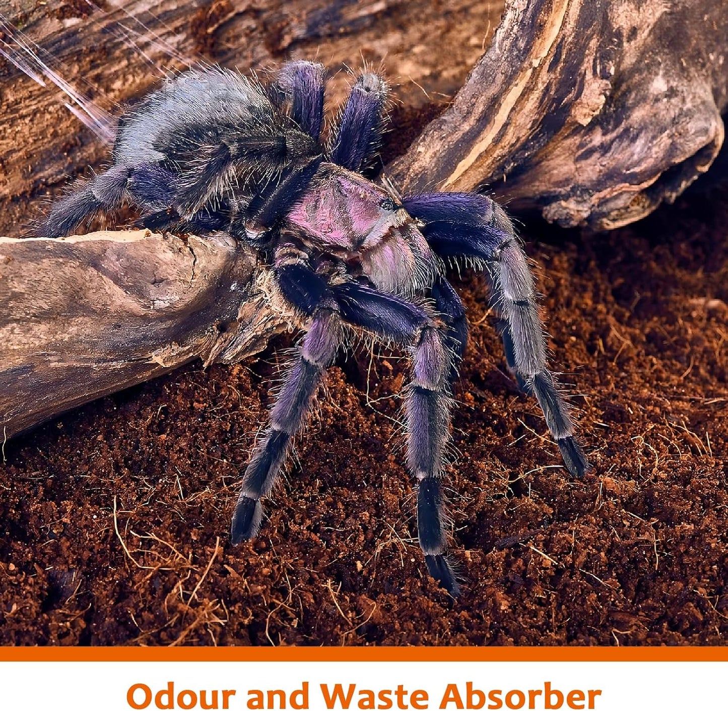 Riare 2 Pack Natural Coconut Fiber Substrate for Reptile- Premium Compressed Coconut Husk Terrarium Bedding for Reptile, Tortoise, Frogs, Snakes Hermit Crabs, Burrowing Animals