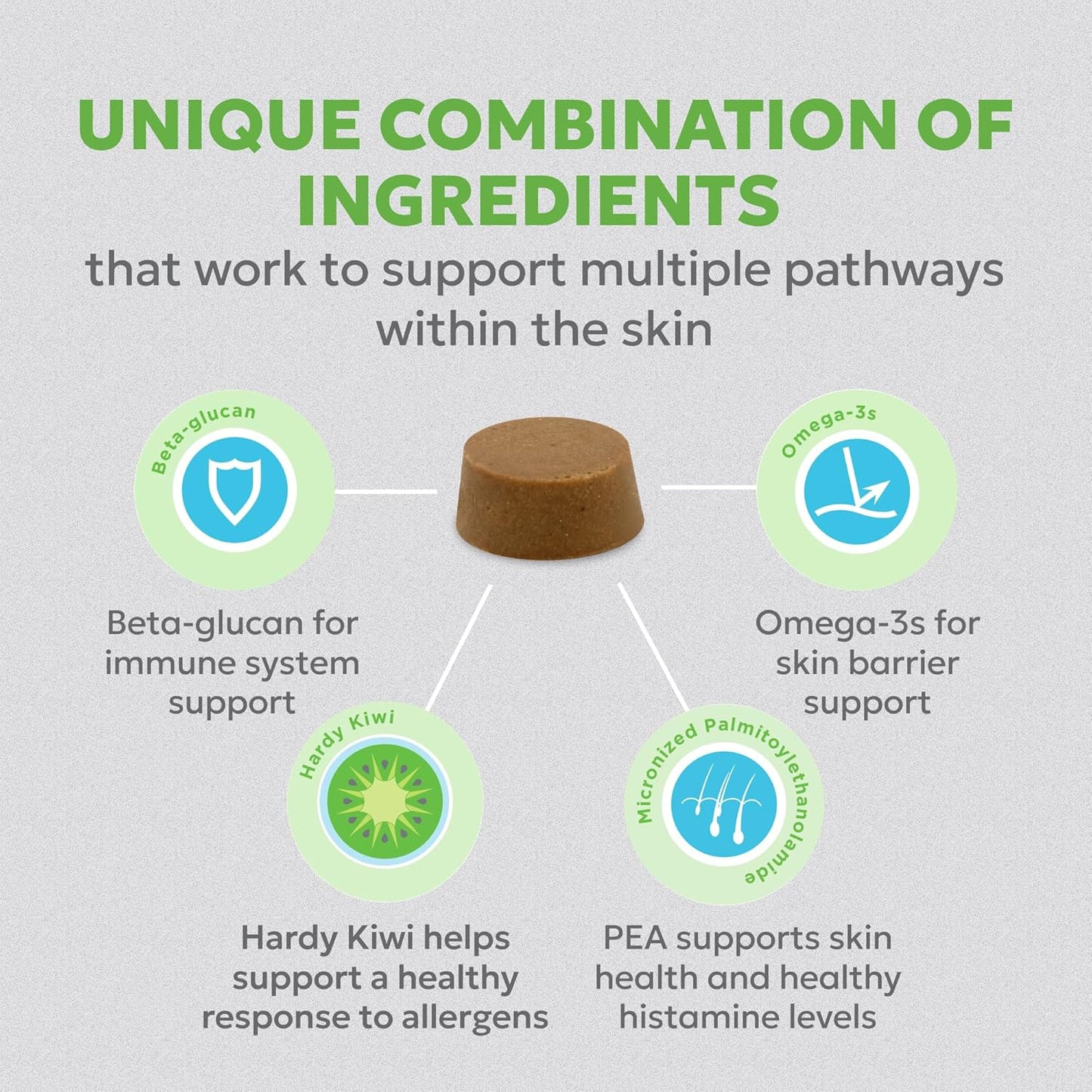 Nutramax Dermaquin Skin Support Supplement for Large Dogs, Supports Healthy Response to Allergens, with Hardy Kiwi, Omega-3s, and More, Tasty Soft Chews, 60 Count