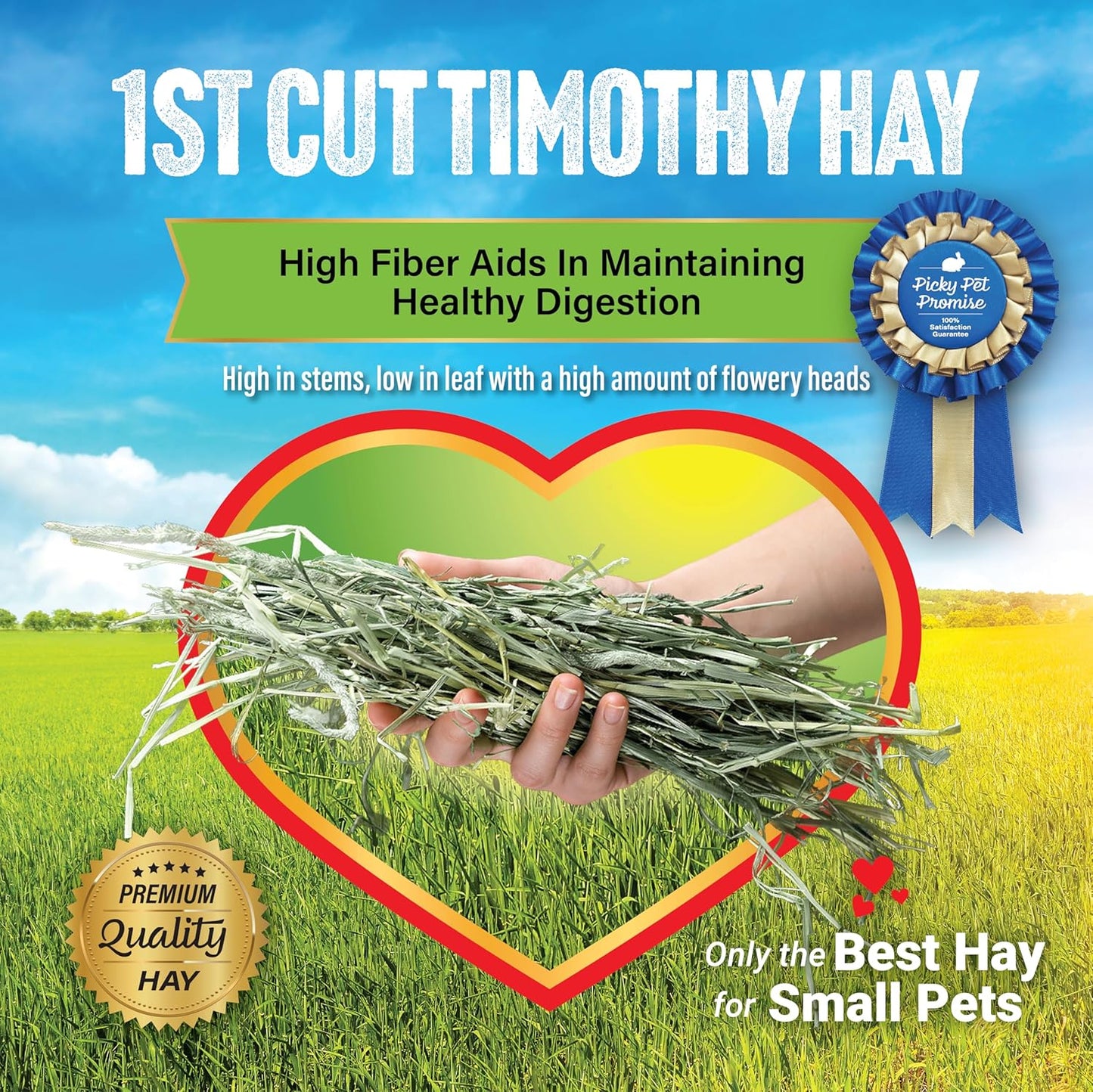 Small Pet Select 1st Cutting Timothy Hay, Animal Food for Guinea Pig, Rabbit, Hamster, Bunny, or Chinchilla, Natural Hay Grown in the USA, 2lb