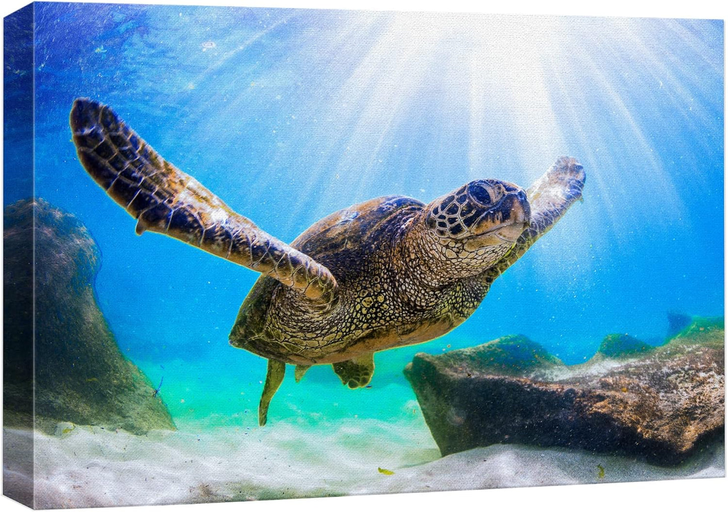wall26 Canvas Print Wall Art Sunlight Ray Tropical Turtle Swimming Ocean Nature Animals Photography Realism Rustic Scenic Landscape Wilderness Colorful for Living Room, Bedroom, Office - 32"x48"