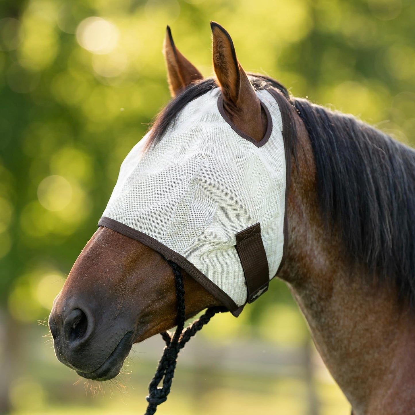 Kensington UV Horse Fly Mask with Web Trim - Protective Mask with Dual Ear Opening & Forelock Freedom - XLarge, Desert Sand