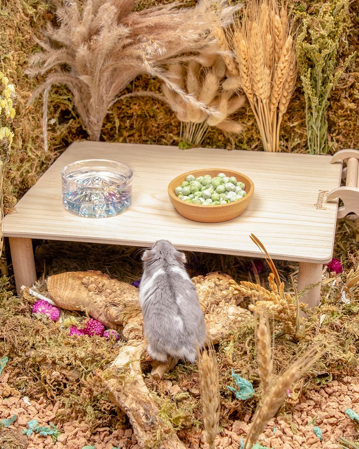 Niteangel Hamster Snack & Treats Toy - Small Animal Natural Treat for Dwarf Syrian Robo Hamsters Gerbils Mice Lemmings Degus or Other Small-Sized Pets