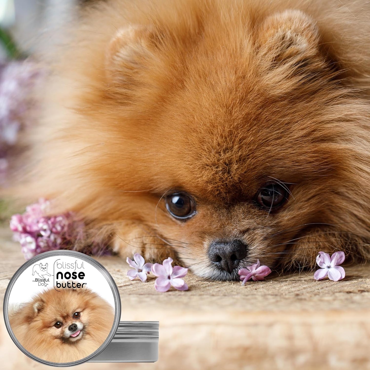 The Blissful Dog Pomeranian Nose Butter, Versatile Dog Nose Balm for Dry Nose, Handcrafted Nose Moisturizer, Easy-to-Apply Dog Essentials, Unscented, 2 oz.